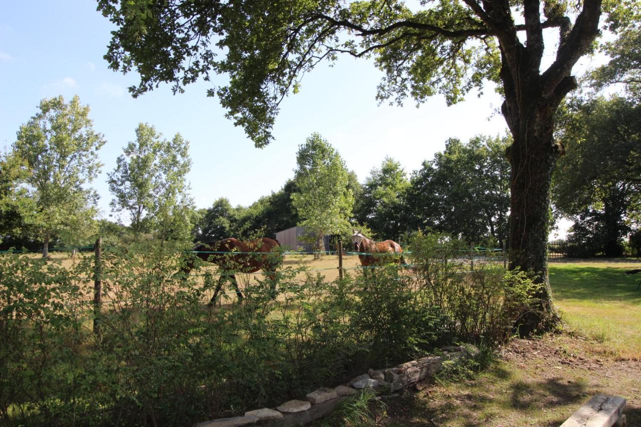 Affittacamere La Longère De La Chevallerais